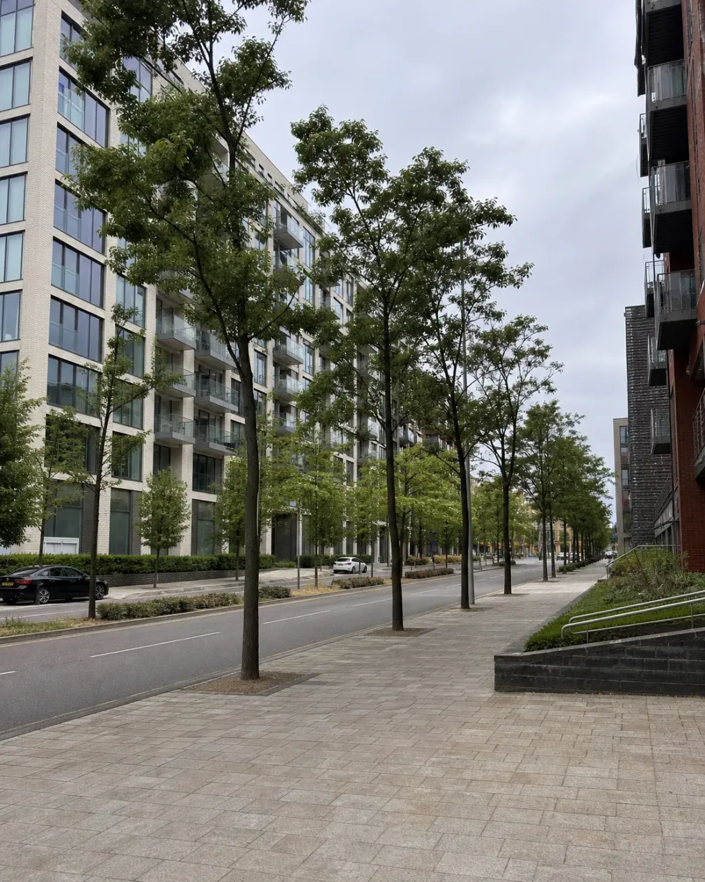 A wide Central Milton Keynes boulevard with mid-rise pale brick and glass apartment blocks, a formal avenue of trees down the centre and very broad clean paving