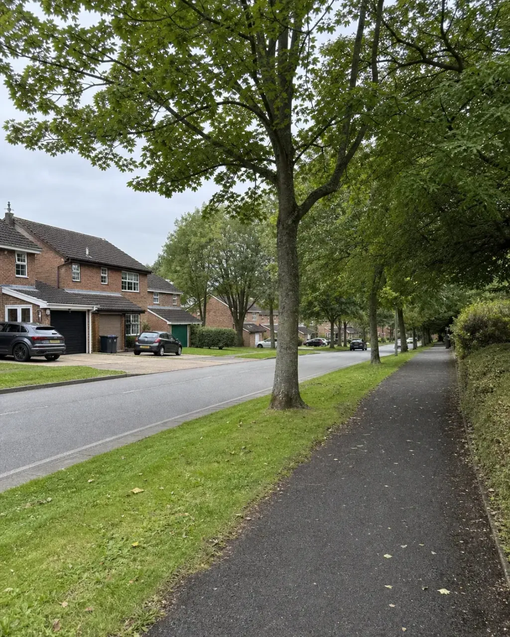 A Shenley residential road with brick houses set behind wide grass verges and mature trees, and a separate tarmac redway path running alongside