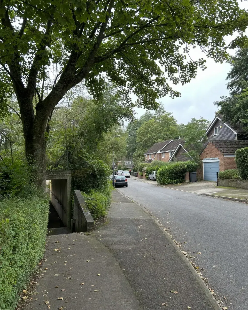 A mature Two Mile Ash street enclosed by dense trees and hedging, with brick houses, garages and the entrance to a pedestrian underpass beside the road